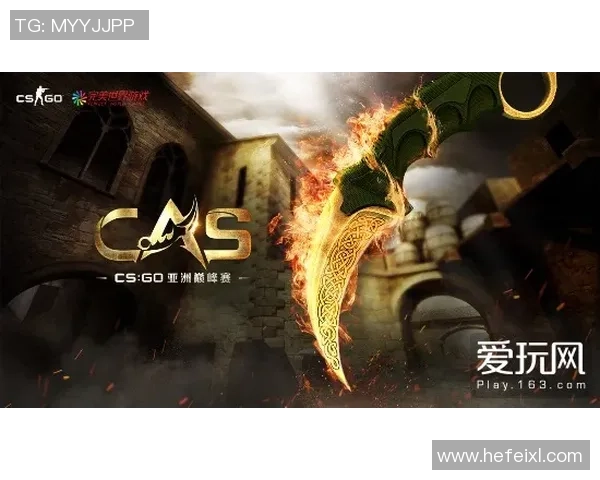 职业选手签名与贴纸在CSGO和CS2中的收藏价值与市场动态分析