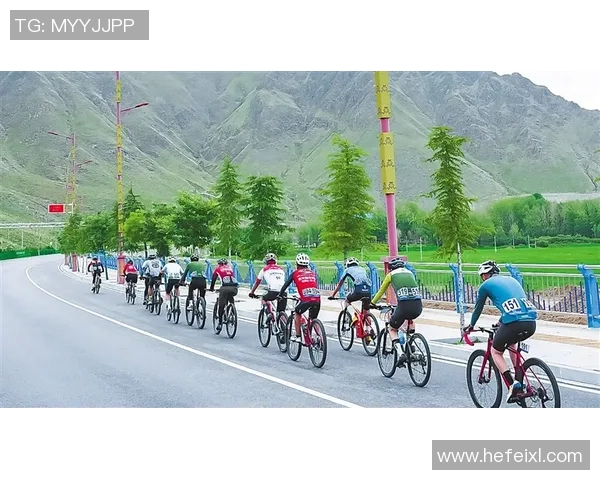 车轮上的较量环法自行车赛如何考验骑行者的战术智慧与体能极限